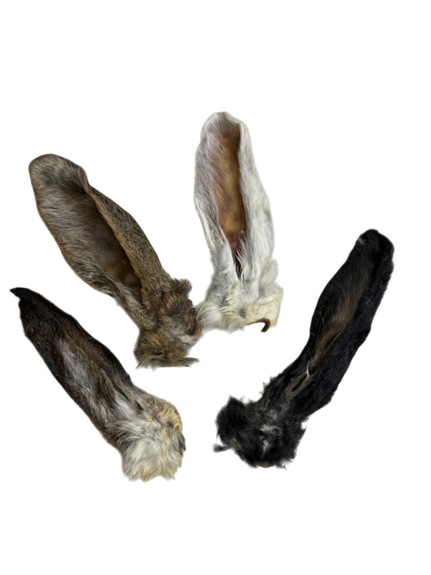 Air Dried Rabbit Ears